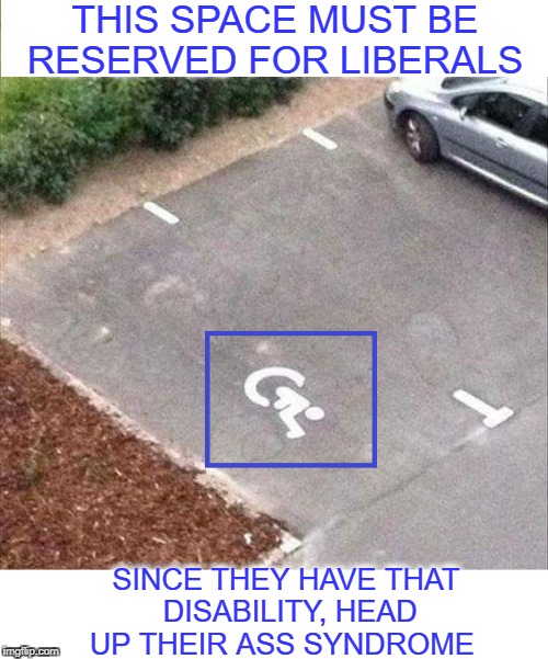 extreme liberalism is a mental disorder so it's ok to make fun of them    | THIS SPACE MUST BE RESERVED FOR LIBERALS; SINCE THEY HAVE THAT DISABILITY, HEAD UP THEIR ASS SYNDROME | image tagged in liberalism is a mental disorder,handicapped parking space,memes,funny,head up ass | made w/ Imgflip meme maker