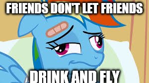 Derp | FRIENDS DON'T LET FRIENDS; DRINK AND FLY | image tagged in derp | made w/ Imgflip meme maker