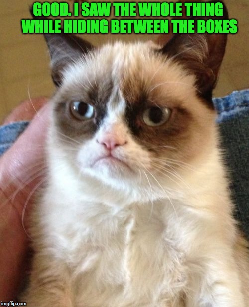 Grumpy Cat Meme | GOOD. I SAW THE WHOLE THING WHILE HIDING BETWEEN THE BOXES | image tagged in memes,grumpy cat | made w/ Imgflip meme maker