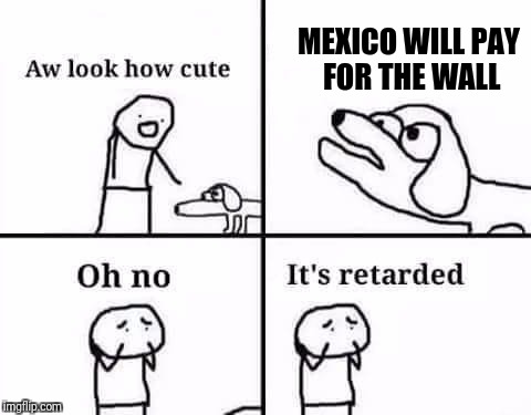 Oh no, it's retarded (template) | MEXICO WILL PAY FOR THE WALL | image tagged in oh no it's retarded (template) | made w/ Imgflip meme maker