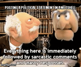POSTING A POLITICAL STATEMENT IN A NUTSHELL | image tagged in gifs | made w/ Imgflip video-to-gif maker