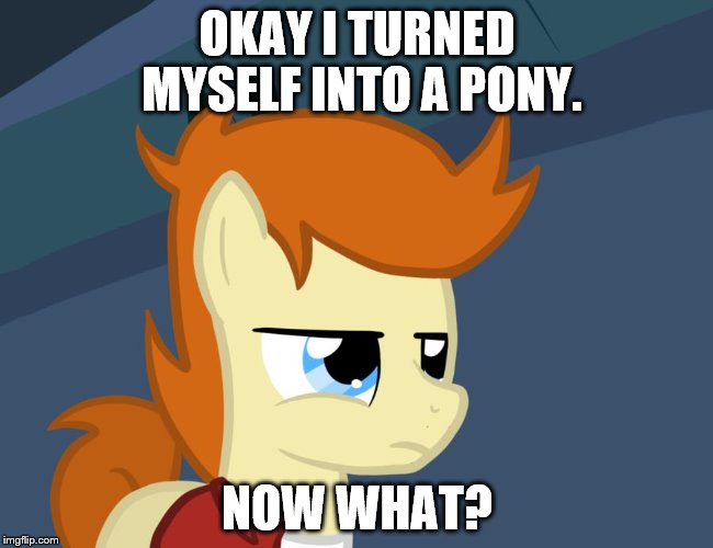 Futurama Fry Pony | OKAY I TURNED MYSELF INTO A PONY. NOW WHAT? | image tagged in futurama fry pony | made w/ Imgflip meme maker