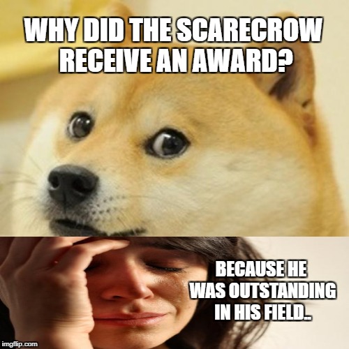 Doge | WHY DID THE SCARECROW RECEIVE AN AWARD? BECAUSE HE WAS OUTSTANDING IN HIS FIELD.. | image tagged in memes,doge | made w/ Imgflip meme maker