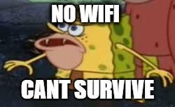 no | NO WIFI; CANT SURVIVE | image tagged in memes,spongegar | made w/ Imgflip meme maker
