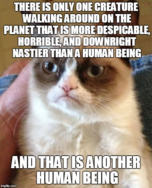 Grumpy Cat Wishes You A "Happy Monday" | THERE IS ONLY ONE CREATURE WALKING AROUND ON THE PLANET THAT IS MORE DESPICABLE, HORRIBLE, AND DOWNRIGHT NASTIER THAN A HUMAN BEING; AND THAT IS ANOTHER HUMAN BEING | image tagged in memes,grumpy cat,grumpy cat insults,monday | made w/ Imgflip meme maker