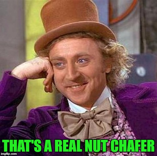 Creepy Condescending Wonka Meme | THAT'S A REAL NUT CHAFER | image tagged in memes,creepy condescending wonka | made w/ Imgflip meme maker