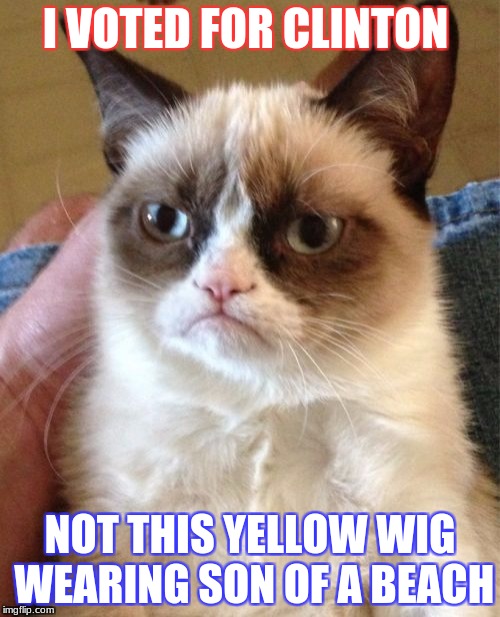 Grumpy Cat Meme | I VOTED FOR CLINTON; NOT THIS YELLOW WIG WEARING SON OF A BEACH | image tagged in memes,grumpy cat | made w/ Imgflip meme maker
