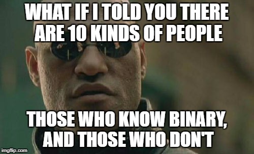 Matrix Morpheus Meme | WHAT IF I TOLD YOU THERE ARE 10 KINDS OF PEOPLE THOSE WHO KNOW BINARY, AND THOSE WHO DON'T | image tagged in memes,matrix morpheus | made w/ Imgflip meme maker