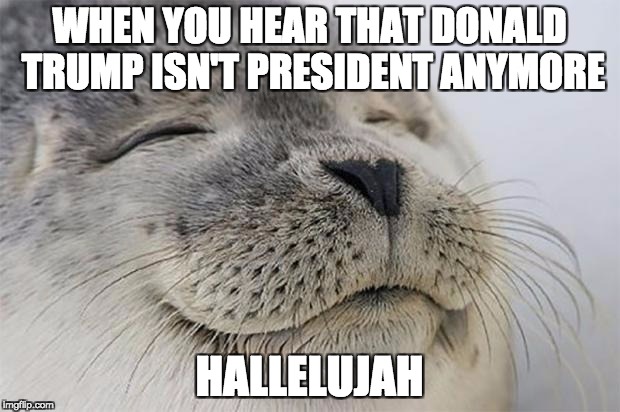 donald trump isn't president | WHEN YOU HEAR THAT DONALD TRUMP ISN'T PRESIDENT ANYMORE; HALLELUJAH | image tagged in memes,satisfied seal,trump,trump isn't president,funny | made w/ Imgflip meme maker