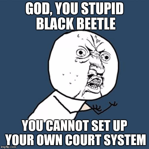 Y U No Meme | GOD, YOU STUPID BLACK BEETLE; YOU CANNOT SET UP YOUR OWN COURT SYSTEM | image tagged in memes,y u no | made w/ Imgflip meme maker