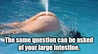 The same question can be asked of your large intestine. | made w/ Imgflip meme maker