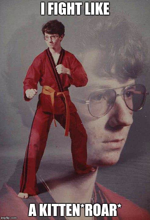 Karate Kyle | I FIGHT LIKE; A KITTEN*ROAR* | image tagged in memes,karate kyle | made w/ Imgflip meme maker