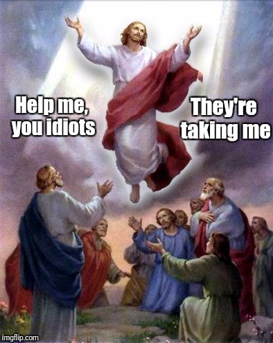 Jesus rises | They're taking me; Help me, you idiots | image tagged in jesus rises | made w/ Imgflip meme maker