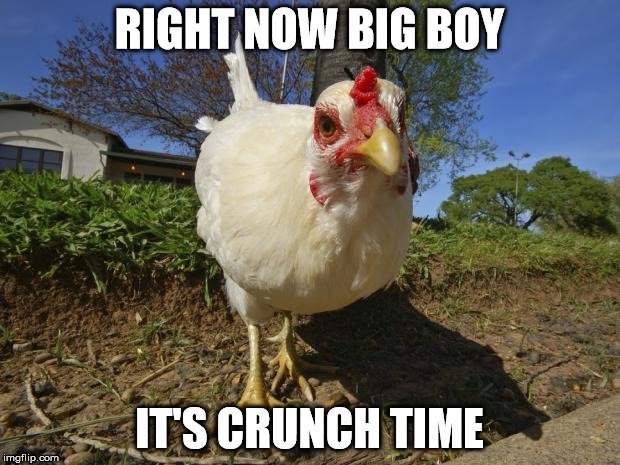 chickens | RIGHT NOW BIG BOY; IT'S CRUNCH TIME | image tagged in chickens | made w/ Imgflip meme maker