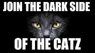 JOIN THE DARK SIDE; OF THE CATZ | image tagged in dark side | made w/ Imgflip meme maker