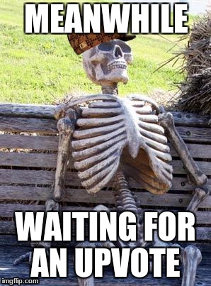 Waiting Skeleton Meme | MEANWHILE; WAITING FOR AN UPVOTE | image tagged in memes,waiting skeleton,scumbag | made w/ Imgflip meme maker