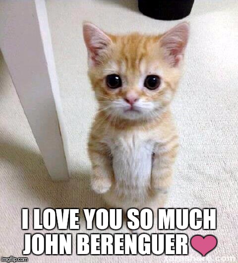 Cute Cat Meme | I LOVE YOU SO MUCH JOHN BERENGUER❤ | image tagged in memes,cute cat | made w/ Imgflip meme maker