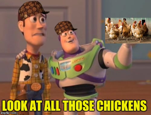 X, X Everywhere Meme | LOOK AT ALL THOSE CHICKENS | image tagged in memes,x x everywhere,scumbag | made w/ Imgflip meme maker