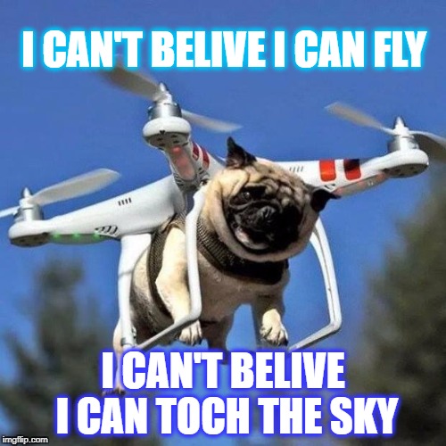 Flying Pug | I CAN'T BELIVE I CAN FLY; I CAN'T BELIVE I CAN TOCH THE SKY | image tagged in flying pug | made w/ Imgflip meme maker
