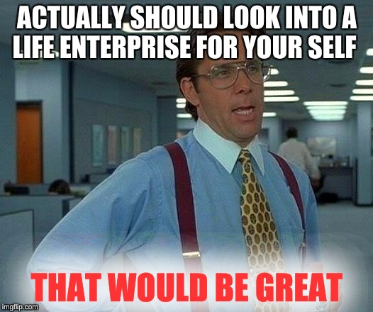 That Would Be Great Meme | ACTUALLY SHOULD LOOK INTO A LIFE ENTERPRISE FOR YOUR SELF; THAT WOULD BE GREAT | image tagged in memes,that would be great | made w/ Imgflip meme maker