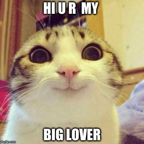 Smiling Cat Meme | HI U R  MY; BIG LOVER | image tagged in memes,smiling cat | made w/ Imgflip meme maker