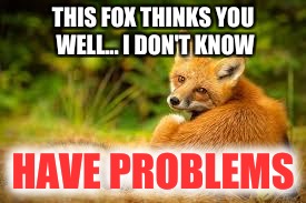 THIS FOX THINKS YOU WELL... I DON'T KNOW HAVE PROBLEMS | made w/ Imgflip meme maker