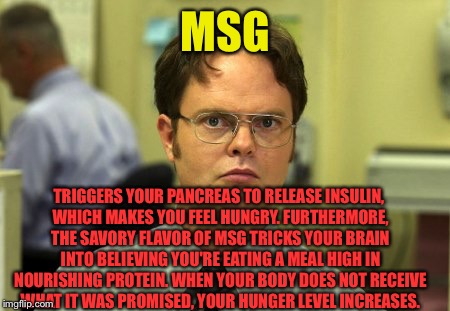 MSG TRIGGERS YOUR PANCREAS TO RELEASE INSULIN, WHICH MAKES YOU FEEL HUNGRY. FURTHERMORE, THE SAVORY FLAVOR OF MSG TRICKS YOUR BRAIN INTO BEL | made w/ Imgflip meme maker