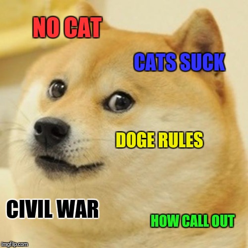 Doge Meme | NO CAT CATS SUCK DOGE RULES CIVIL WAR HOW CALL OUT | image tagged in memes,doge | made w/ Imgflip meme maker