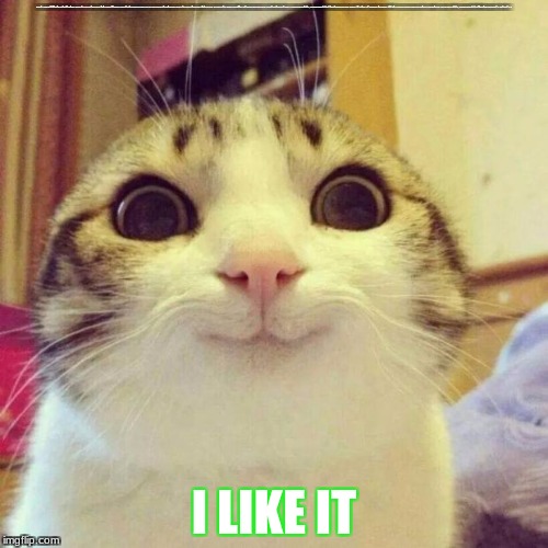 Smiling Cat Meme | HTTPS://WWW.GOOGLE.CA/IMGRES?IMGURL=HTTP%3A%2F%2FCATPLANET.ORG%2FWP-CONTENT%2FUPLOADS%2F2014%2F02%2FI-DID-THE-MATH.JPG&IMGREFURL=HTTP%3A%2F%2FCATPLANET.ORG%2FI-DID-THE-MATH-CAT-MEME%2F&DOCID=FVGIF58KNWUFZM&TBNID=JEPZHGFBDCUIUM%3A&VET=10AHUKEWJPJ4QNON_XAHUH9WMKHSYGBXCQMWG8KAAWAA..I&W=500&H=364&SAFE=ACTIVE&BIH=654&BIW=1366&Q=%20DID%20THE%20MATH%20CAT%20MEMES&VED=0AHUKEWJPJ4QNON_XAHUH9WMKHSYGBXCQMWG8KAAWAA&IACT=MRC&UACT=8; I LIKE IT | image tagged in memes,smiling cat | made w/ Imgflip meme maker