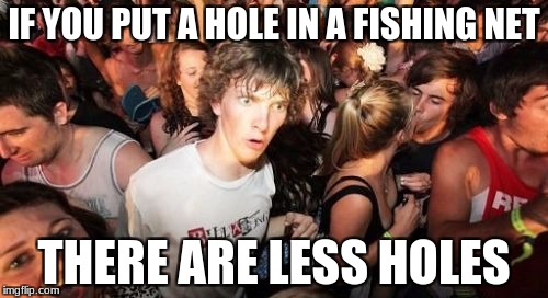 Anything more to be said?  | IF YOU PUT A HOLE IN A FISHING NET; THERE ARE LESS HOLES | image tagged in memes,sudden clarity clarence | made w/ Imgflip meme maker