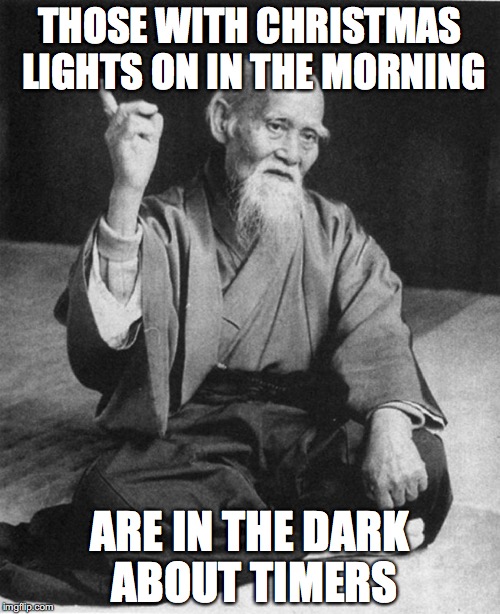 Confucius say | THOSE WITH CHRISTMAS LIGHTS ON IN THE MORNING; ARE IN THE DARK ABOUT TIMERS | image tagged in confucius say | made w/ Imgflip meme maker