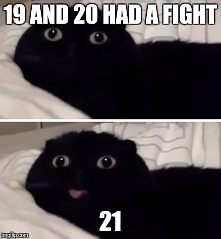 Who would win? | 19 AND 20 HAD A FIGHT; 21 | image tagged in memes,funny cats,bad joke | made w/ Imgflip meme maker