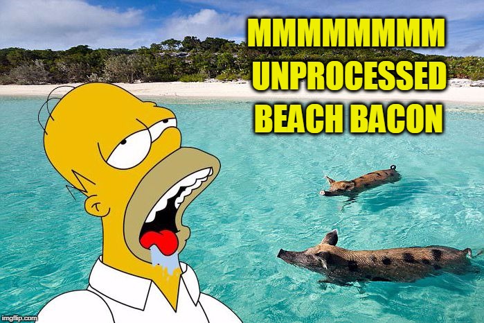 UNPROCESSED; MMMMMMMM; BEACH BACON | image tagged in bacon beach | made w/ Imgflip meme maker