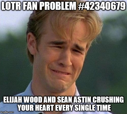 1990s First World Problems Meme | LOTR FAN PROBLEM #42340679; ELIJAH WOOD AND SEAN ASTIN CRUSHING YOUR HEART EVERY SINGLE TIME | image tagged in memes,1990s first world problems | made w/ Imgflip meme maker