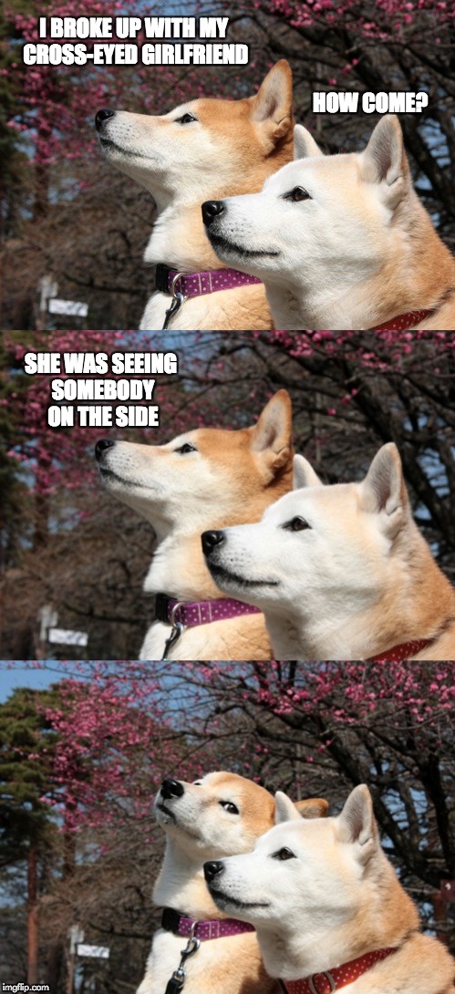 Punny Dawgs part deux | I BROKE UP WITH MY CROSS-EYED GIRLFRIEND; HOW COME? SHE WAS SEEING SOMEBODY ON THE SIDE | image tagged in funny dogs | made w/ Imgflip meme maker