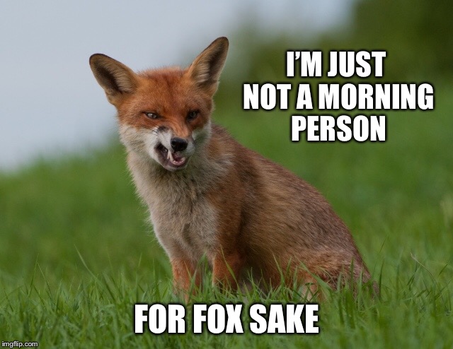 not into Monday mornings | I’M JUST NOT A MORNING PERSON; FOR FOX SAKE | image tagged in monday,monday mornings,morning,mornings,fox | made w/ Imgflip meme maker