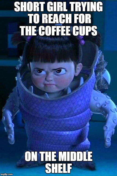 short  | SHORT GIRL TRYING TO REACH FOR THE COFFEE CUPS; ON THE MIDDLE SHELF | image tagged in short | made w/ Imgflip meme maker