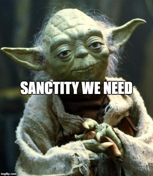 Star Wars Yoda Meme | SANCTITY WE NEED | image tagged in memes,star wars yoda | made w/ Imgflip meme maker