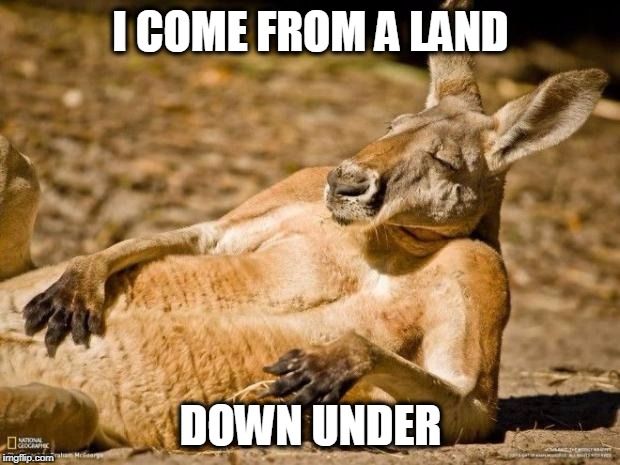 I COME FROM A LAND DOWN UNDER | image tagged in kangaroo | made w/ Imgflip meme maker