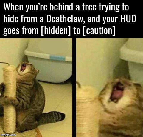 image tagged in you scaredy cat | made w/ Imgflip meme maker
