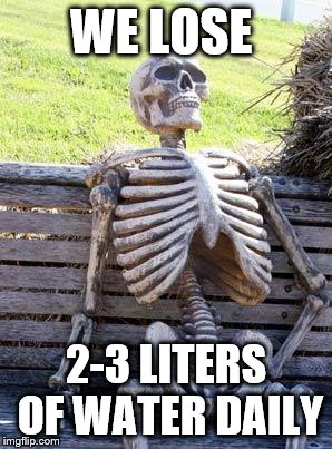 Waiting Skeleton | WE LOSE; 2-3 LITERS OF WATER DAILY | image tagged in memes,waiting skeleton | made w/ Imgflip meme maker