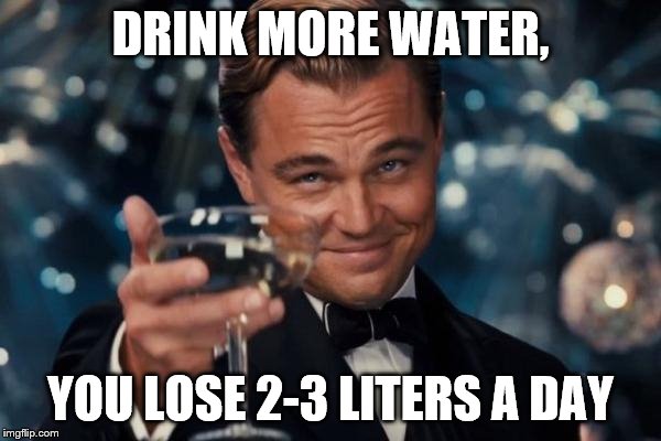Leonardo Dicaprio Cheers | DRINK MORE WATER, YOU LOSE 2-3 LITERS A DAY | image tagged in memes,leonardo dicaprio cheers | made w/ Imgflip meme maker