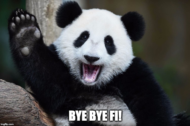 Bye Bye Panda | BYE BYE FI! | image tagged in bye bye panda | made w/ Imgflip meme maker