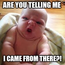 ARE YOU TELLING ME; I CAME FROM THERE?! | image tagged in baby,grossed out | made w/ Imgflip meme maker