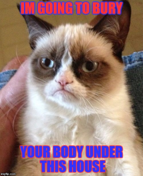 Grumpy Cat Meme | IM GOING TO BURY; YOUR BODY UNDER THIS HOUSE | image tagged in memes,grumpy cat | made w/ Imgflip meme maker