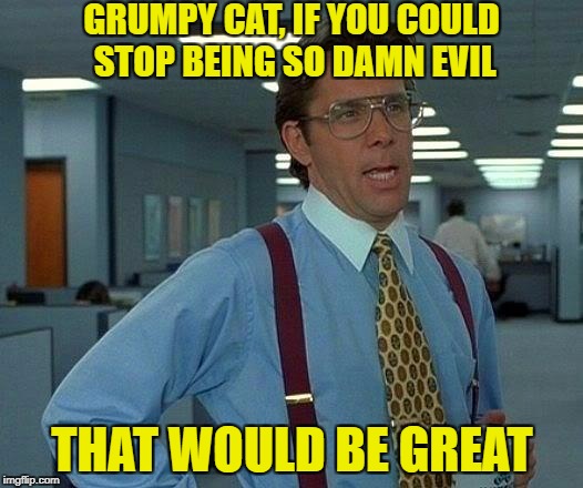 That Would Be Great Meme | GRUMPY CAT, IF YOU COULD STOP BEING SO DAMN EVIL THAT WOULD BE GREAT | image tagged in memes,that would be great | made w/ Imgflip meme maker