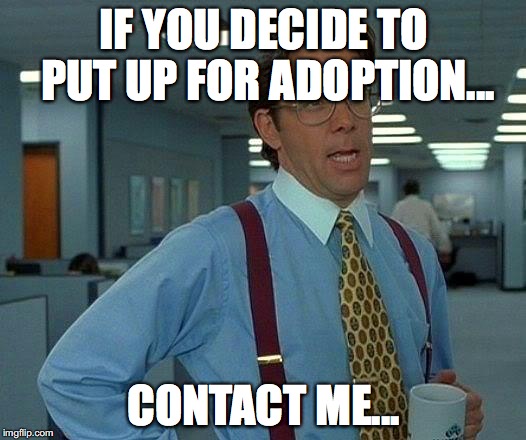That Would Be Great Meme | IF YOU DECIDE TO PUT UP FOR ADOPTION... CONTACT ME... | image tagged in memes,that would be great | made w/ Imgflip meme maker