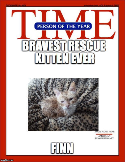 time magazine person of the year | BRAVEST RESCUE KITTEN EVER; FINN | image tagged in time magazine person of the year | made w/ Imgflip meme maker