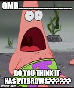 Omg | OMG................................ DO YOU THINK IT HAS EYEBROWS?????? | image tagged in omg | made w/ Imgflip meme maker