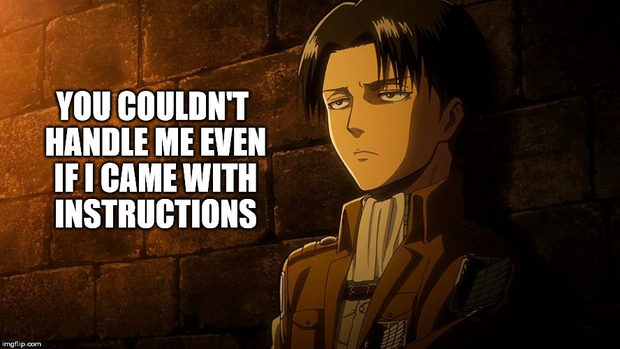 Levi's sass | YOU COULDN'T HANDLE ME EVEN IF I CAME WITH INSTRUCTIONS | image tagged in levi's sass | made w/ Imgflip meme maker